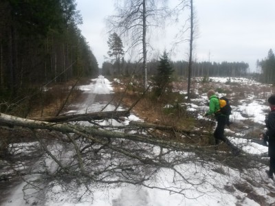 Nerblåst träd över vägen hade även tagit med en ledning.